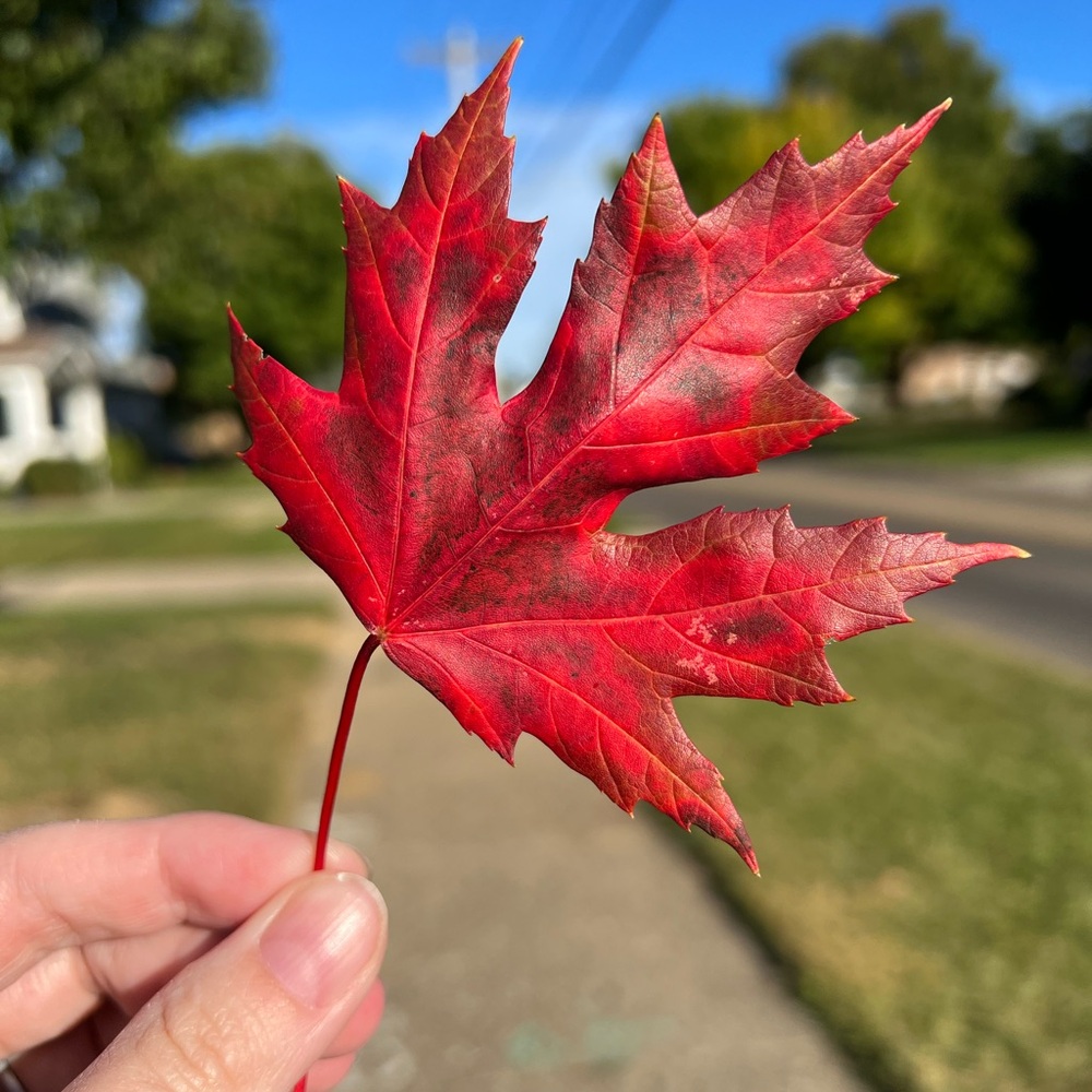 Meet your Posher, Christa
